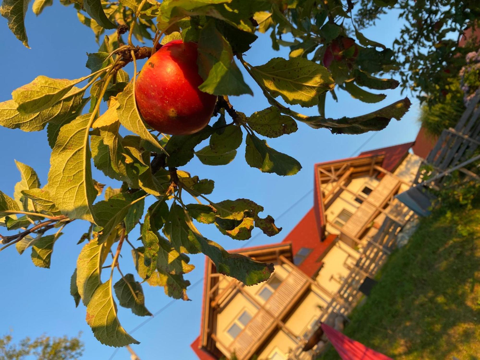 Fugger Alm Aparthotel Weichselbaum Exterior photo